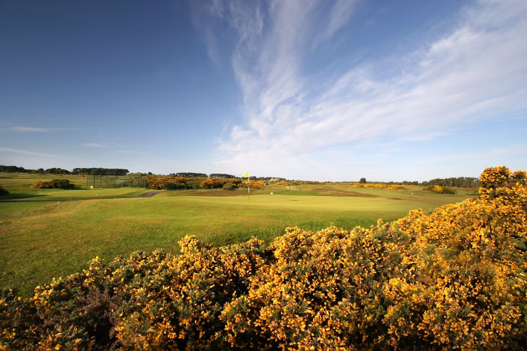 Carnoustie Golf Links (Burnside Course)