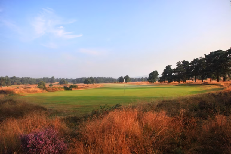 Hankley Common Golf Club