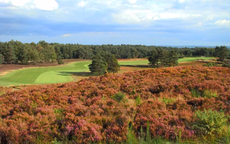 Sunningdale Golf Club (New Course)