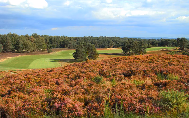 Sunningdale Golf Club (New Course)