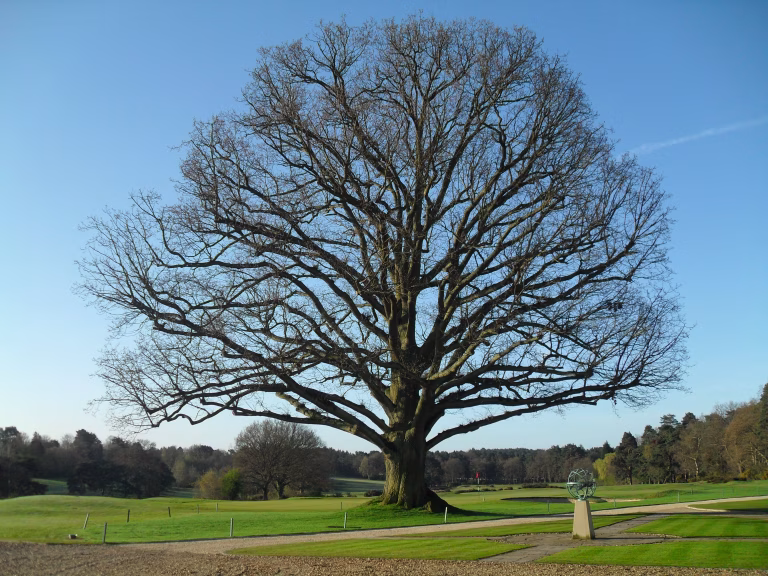 Sunningdale Golf Club (Old Course)