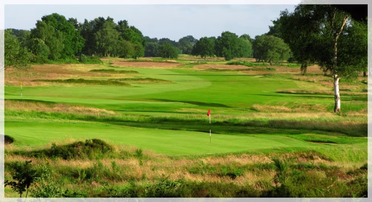 Walton Heath Golf Club (New Course)