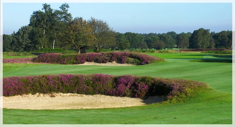 Walton Heath Golf Club (New Course)