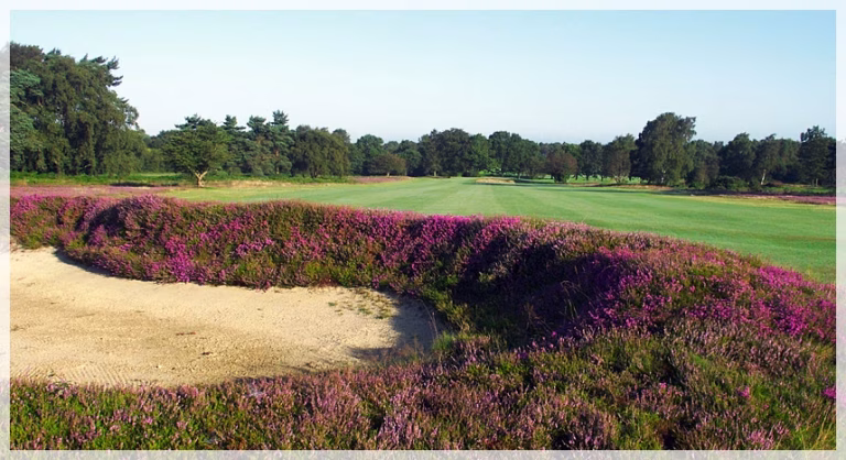 Walton Heath Golf Club (New Course)