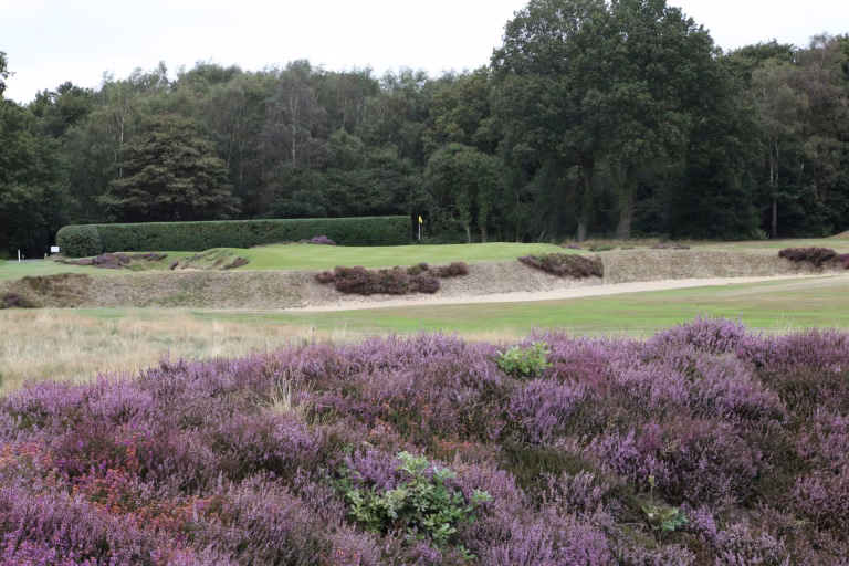 Walton Heath Golf Club (Old Course)
