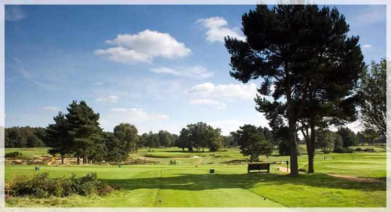 Walton Heath Golf Club (Old Course)
