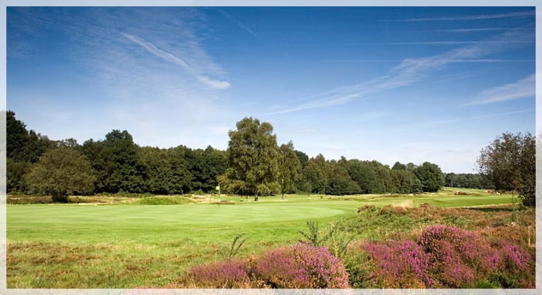 Walton Heath Golf Club (Old Course)