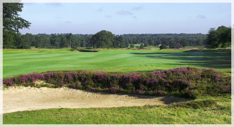 Walton Heath Golf Club (Old Course)