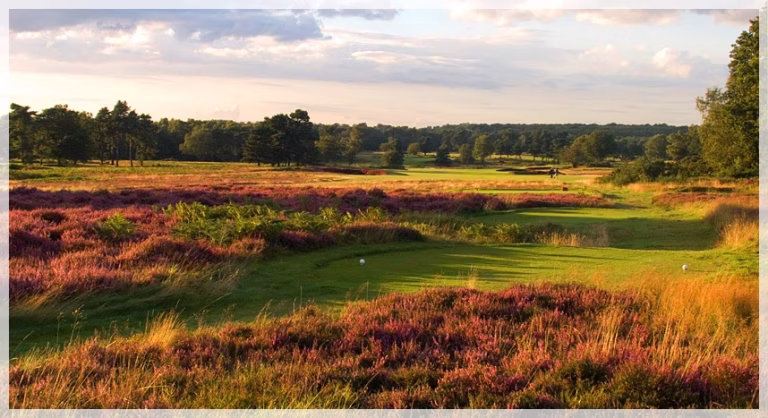 Walton Heath Golf Club (Old Course)