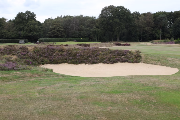 Walton Heath Golf Club (Old Course)