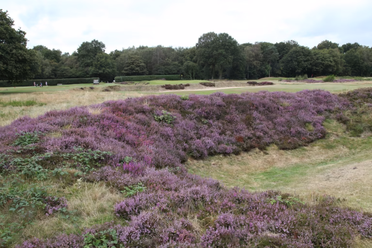 Walton Heath Golf Club (Old Course)