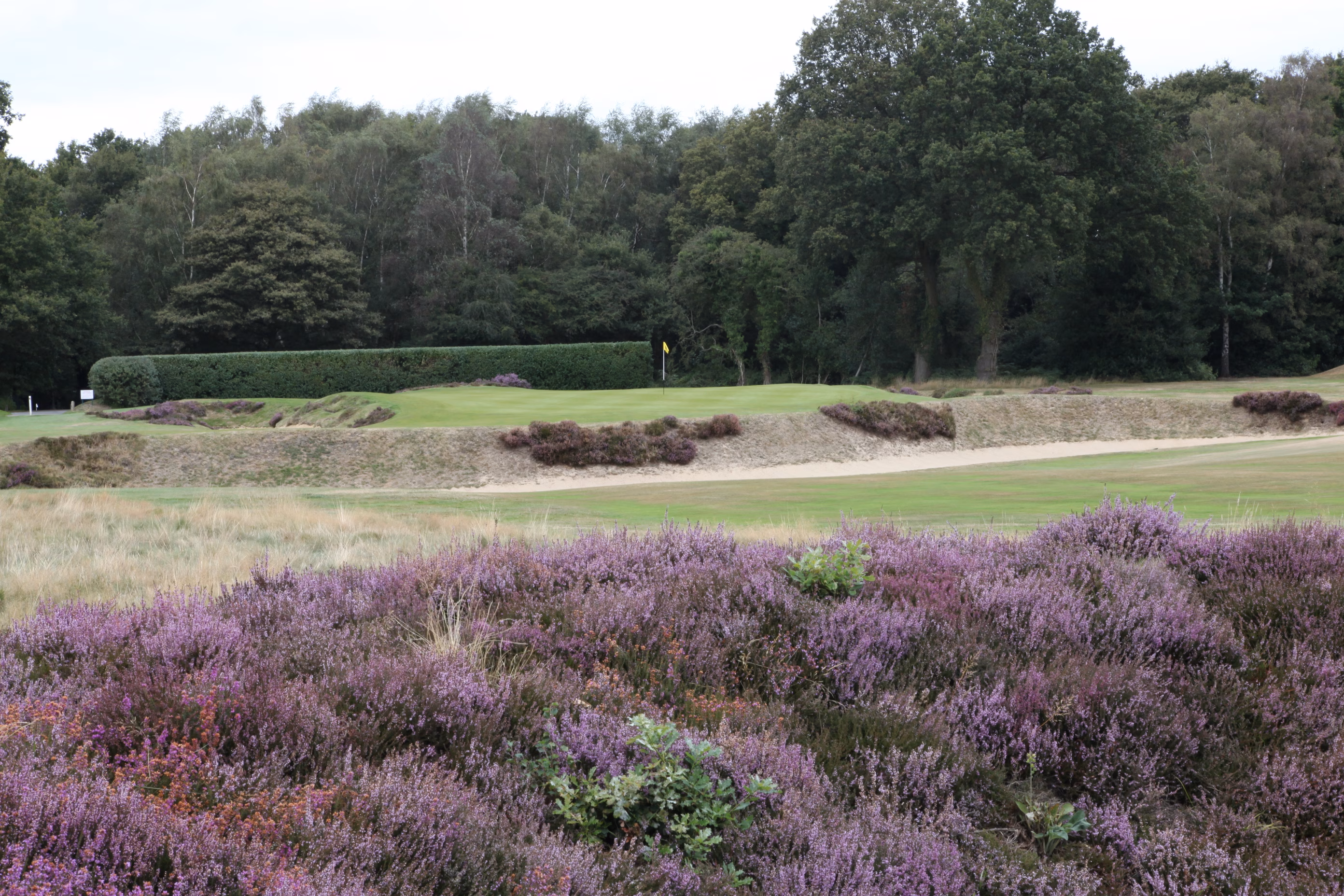 Walton Heath Golf Club (Old Course)
