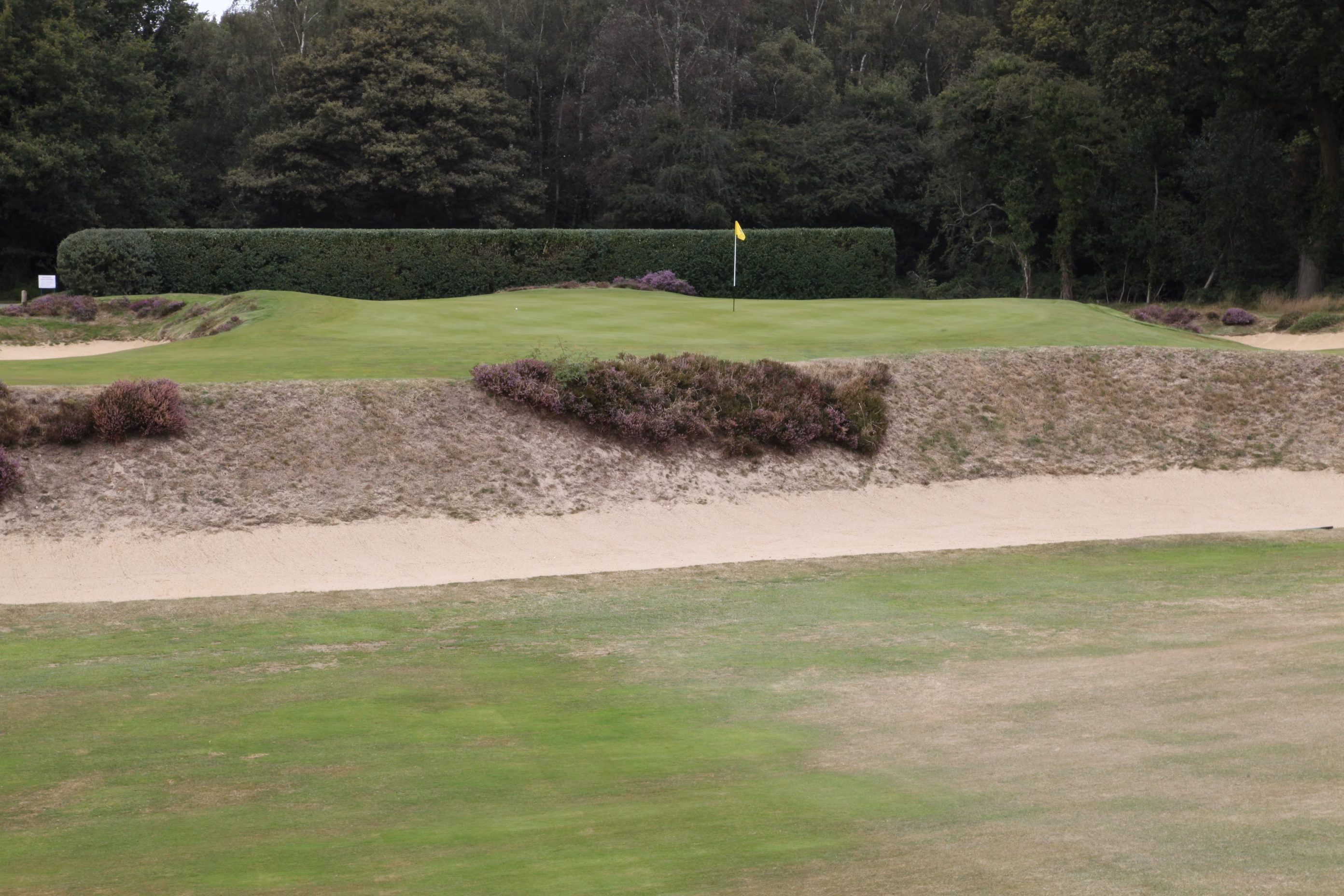 Walton Heath Golf Club (Old Course)