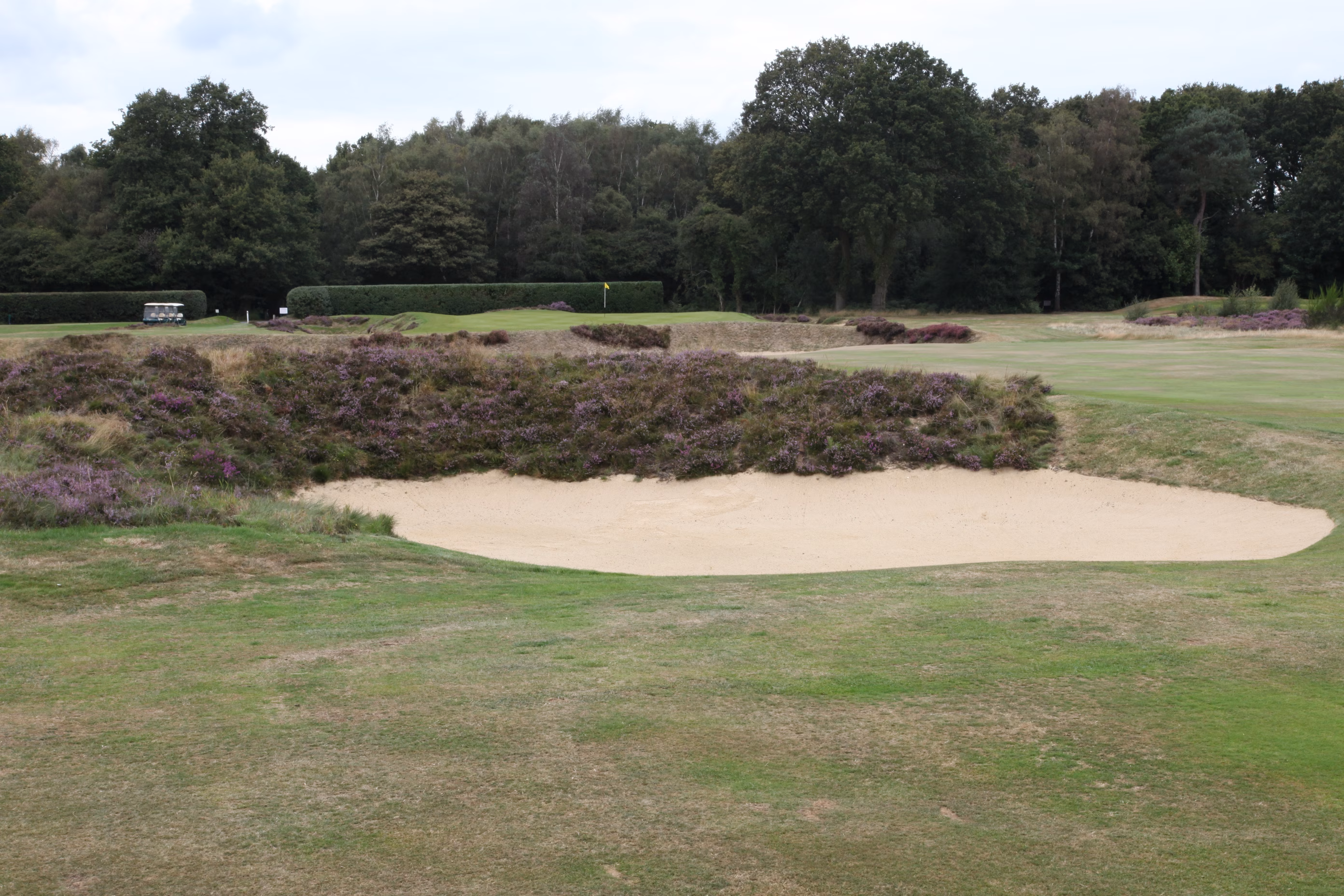 Walton Heath Golf Club (Old Course)