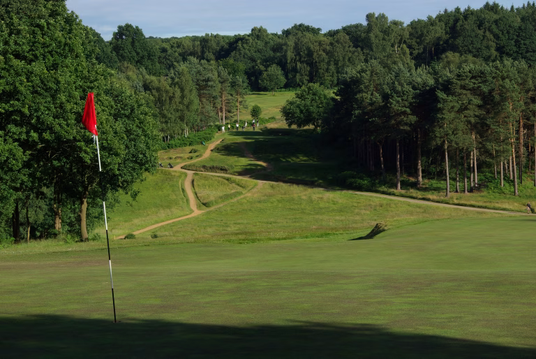Royal Ashdown Forest Golf Club (Old Course)