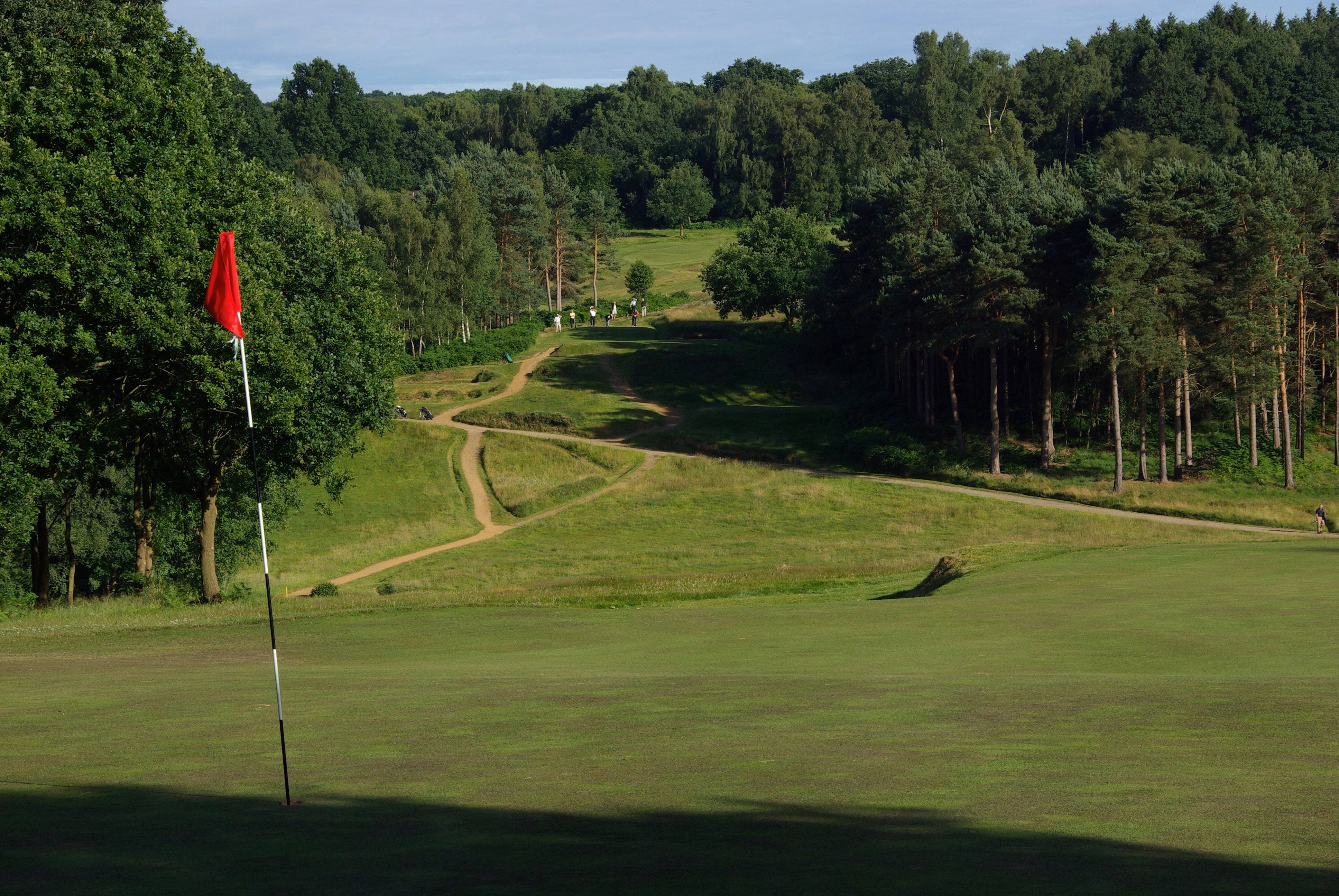 Royal Ashdown Forest Golf Club (Old Course)