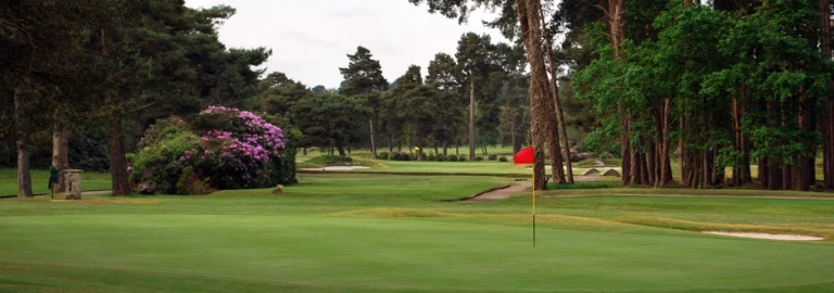 Ferndown Golf Club (Old Course)