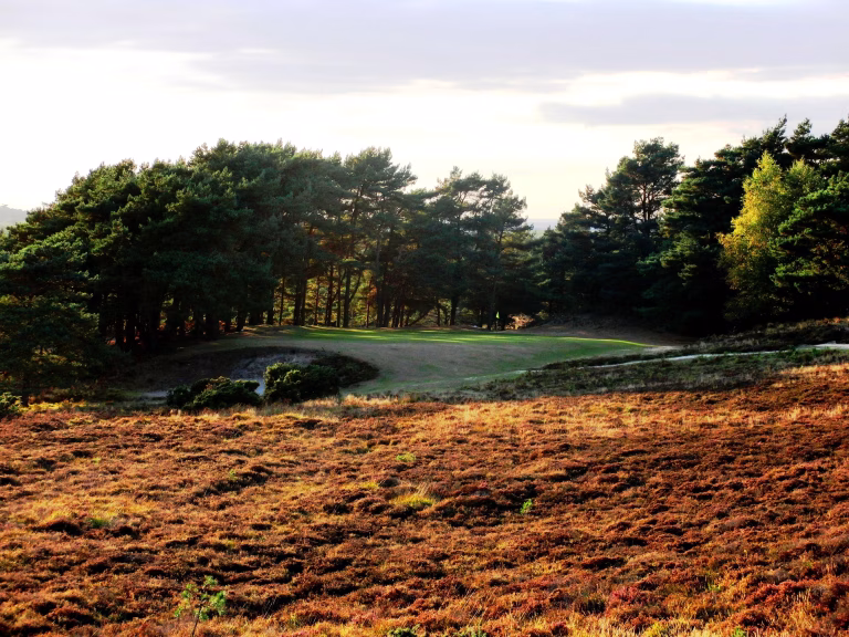 Isle of Purbeck Golf Club (Purbeck Course)