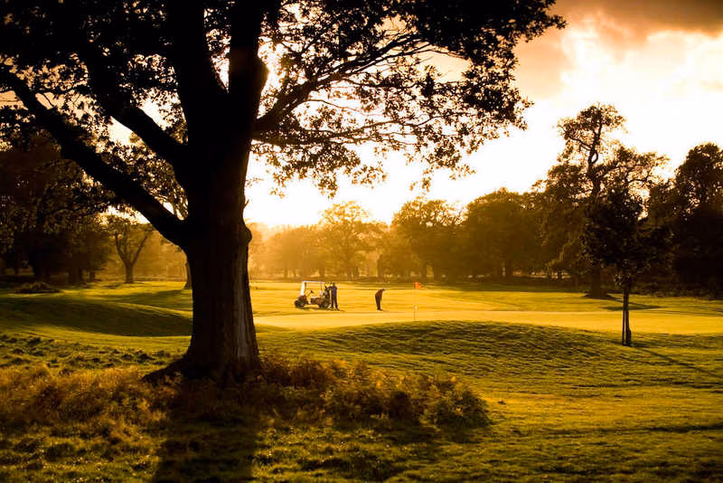 Forest of Arden Country Club (Arden Course)