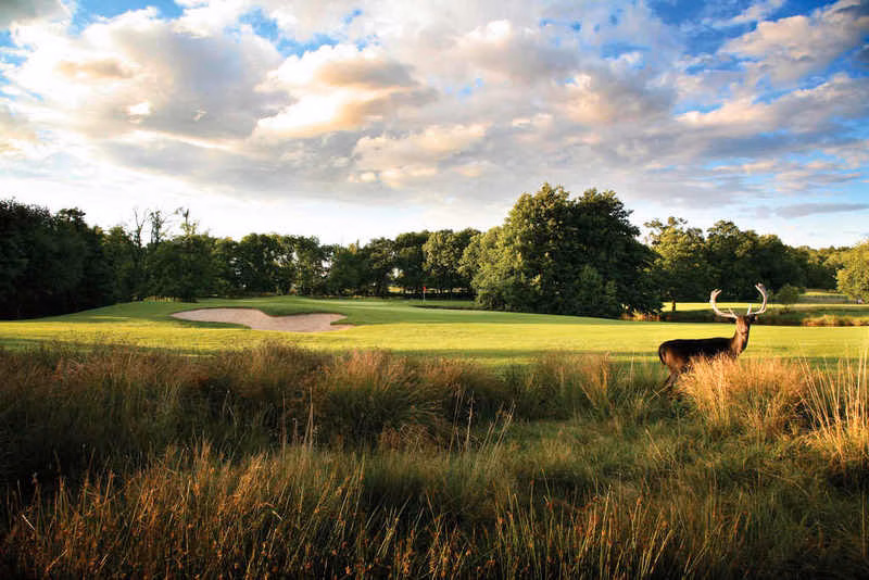 Forest of Arden Country Club (Arden Course)