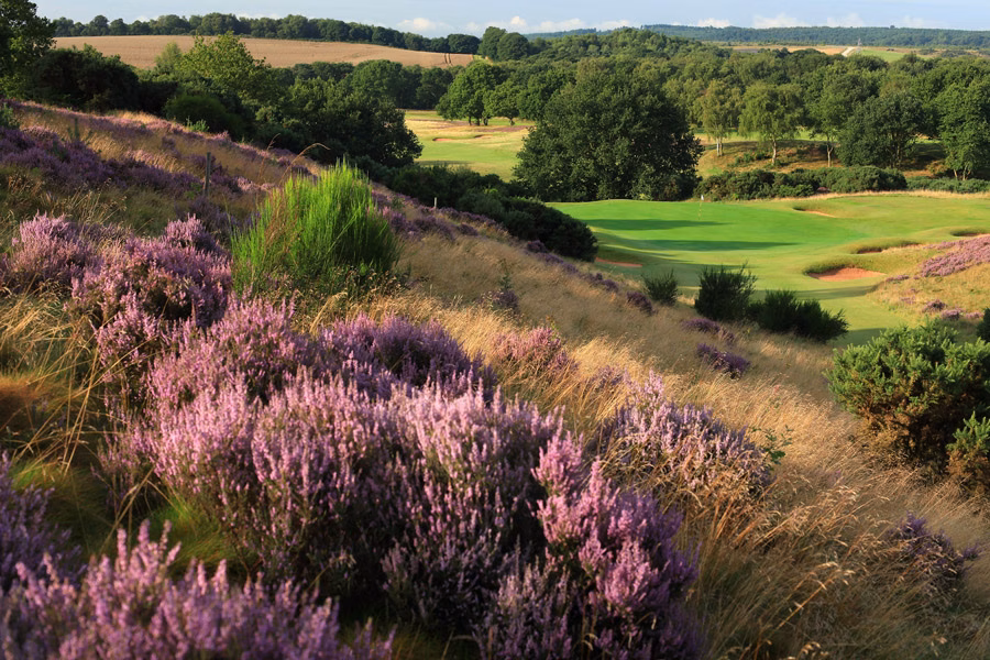 Notts (Hollinwell) Golf Club