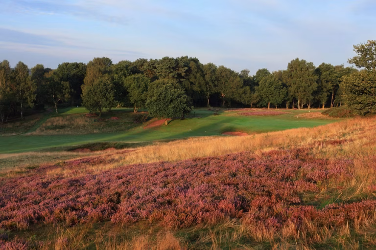 Notts (Hollinwell) Golf Club