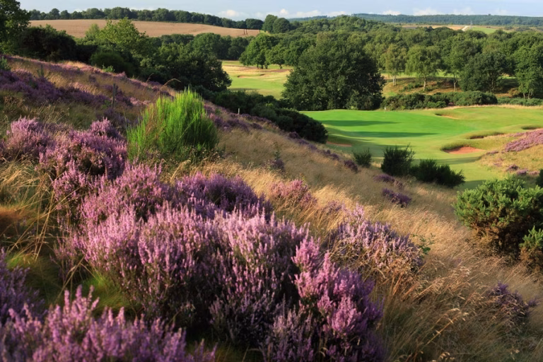 Notts (Hollinwell) Golf Club