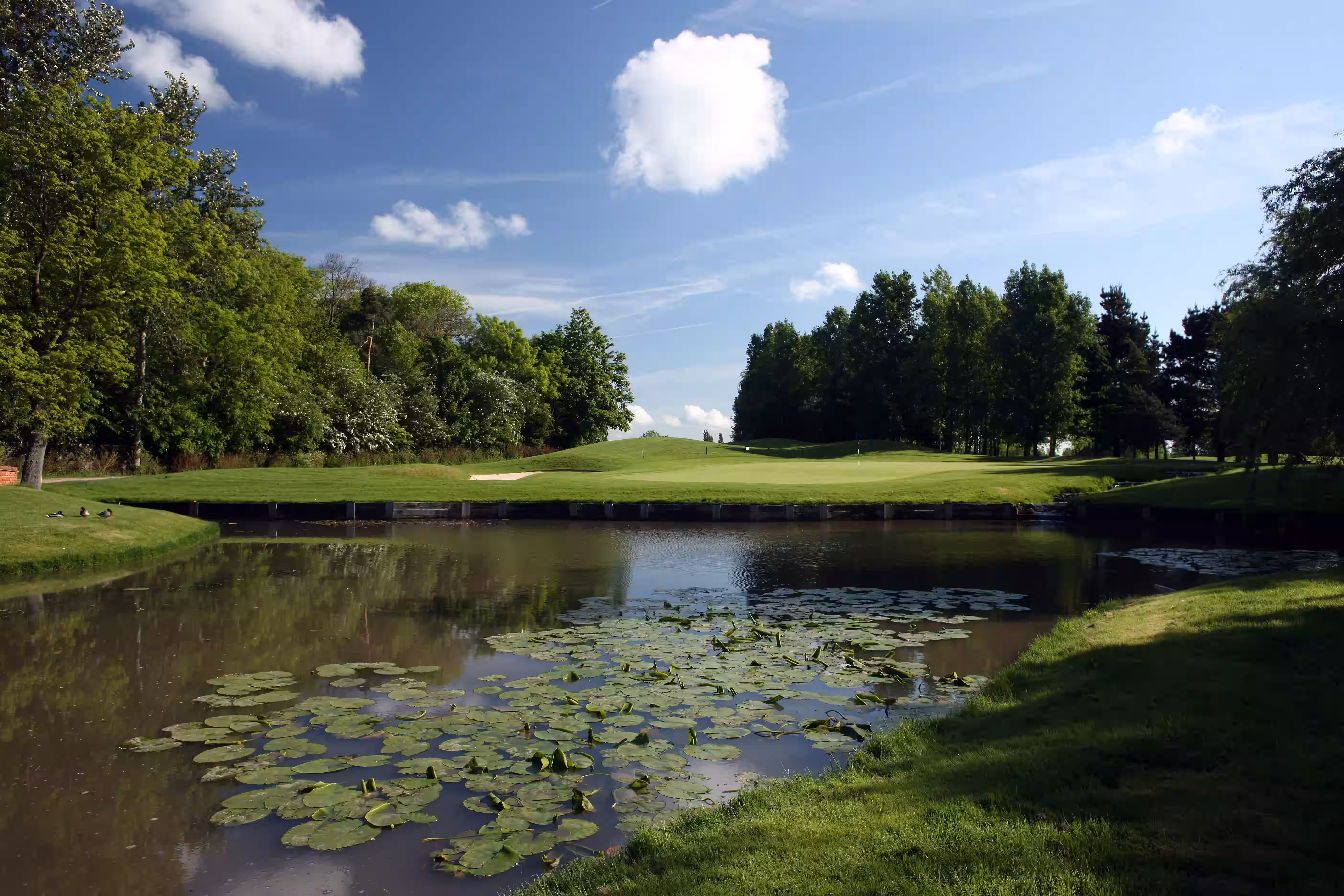 The Belfry Hotel & Resort (Brabazon Course)
