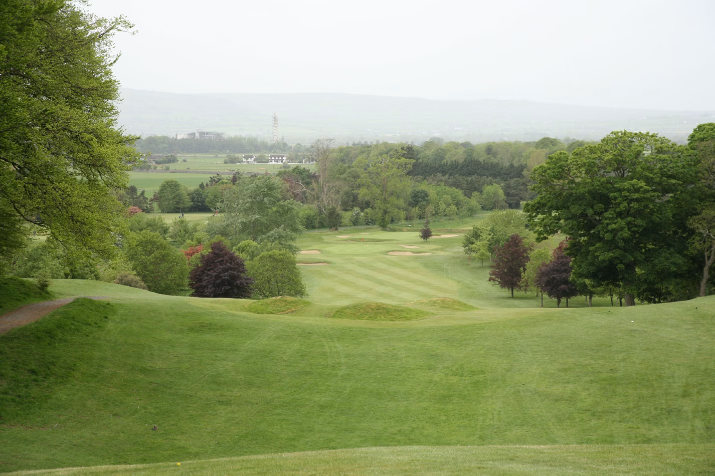 Carlow Golf Club (Deerpark Course)