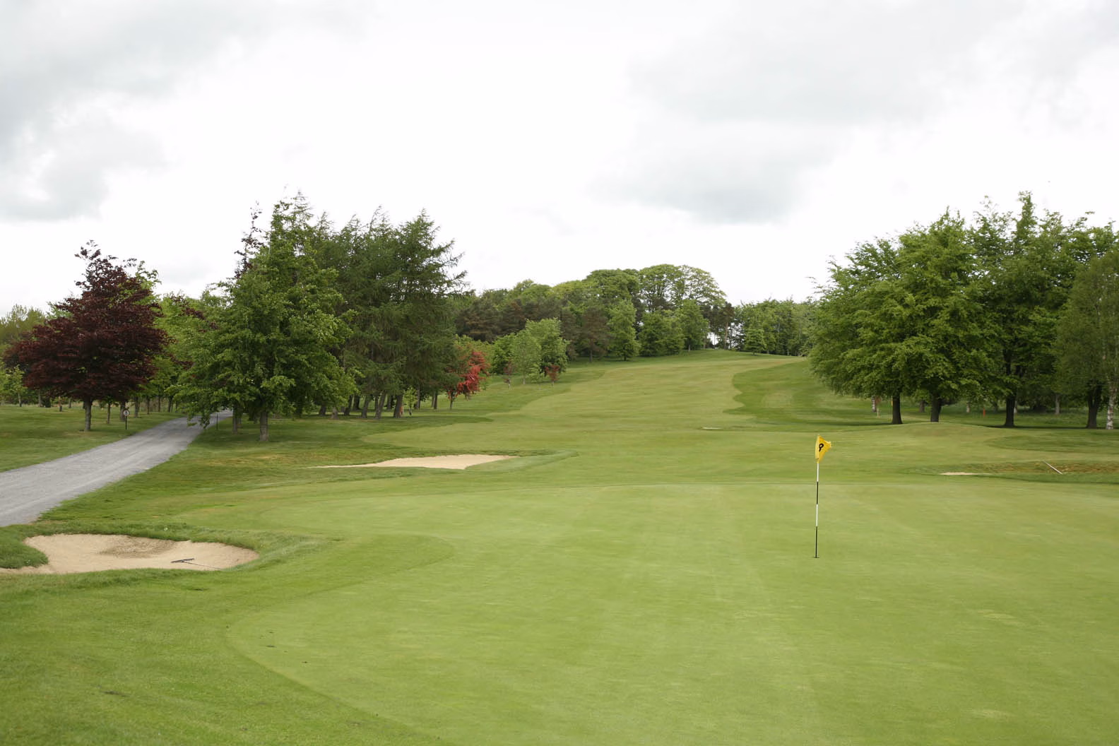 Carlow Golf Club (Deerpark Course)