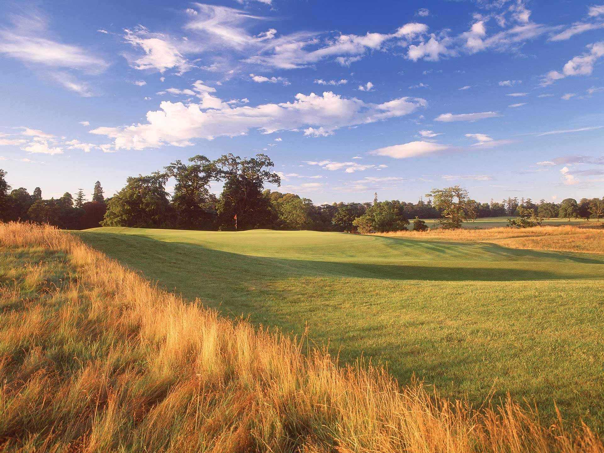 Carton House (Montgomerie Course)