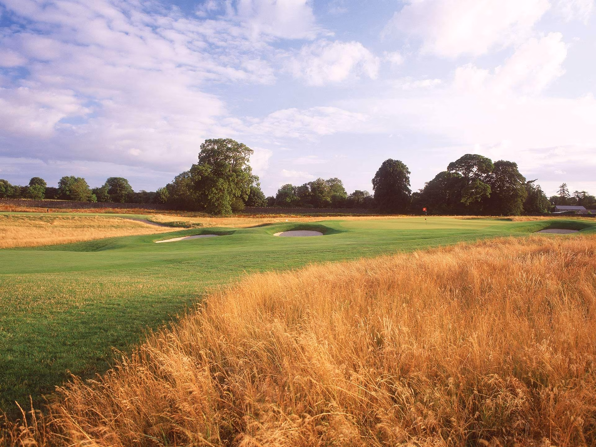 Carton House (Montgomerie Course)