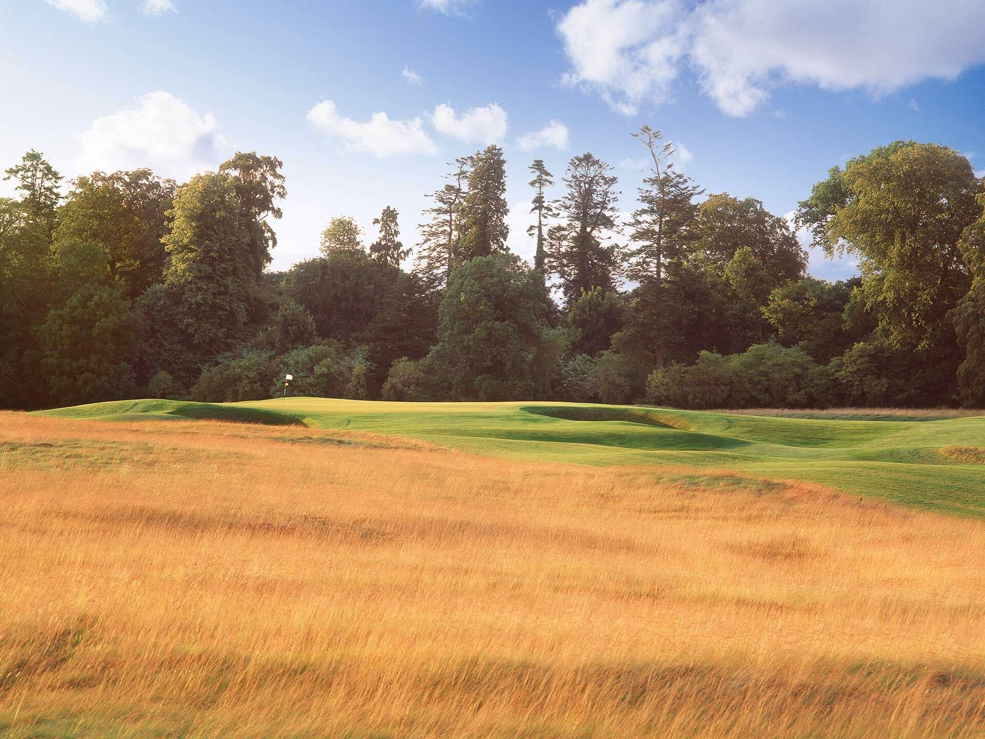 Carton House (Montgomerie Course)