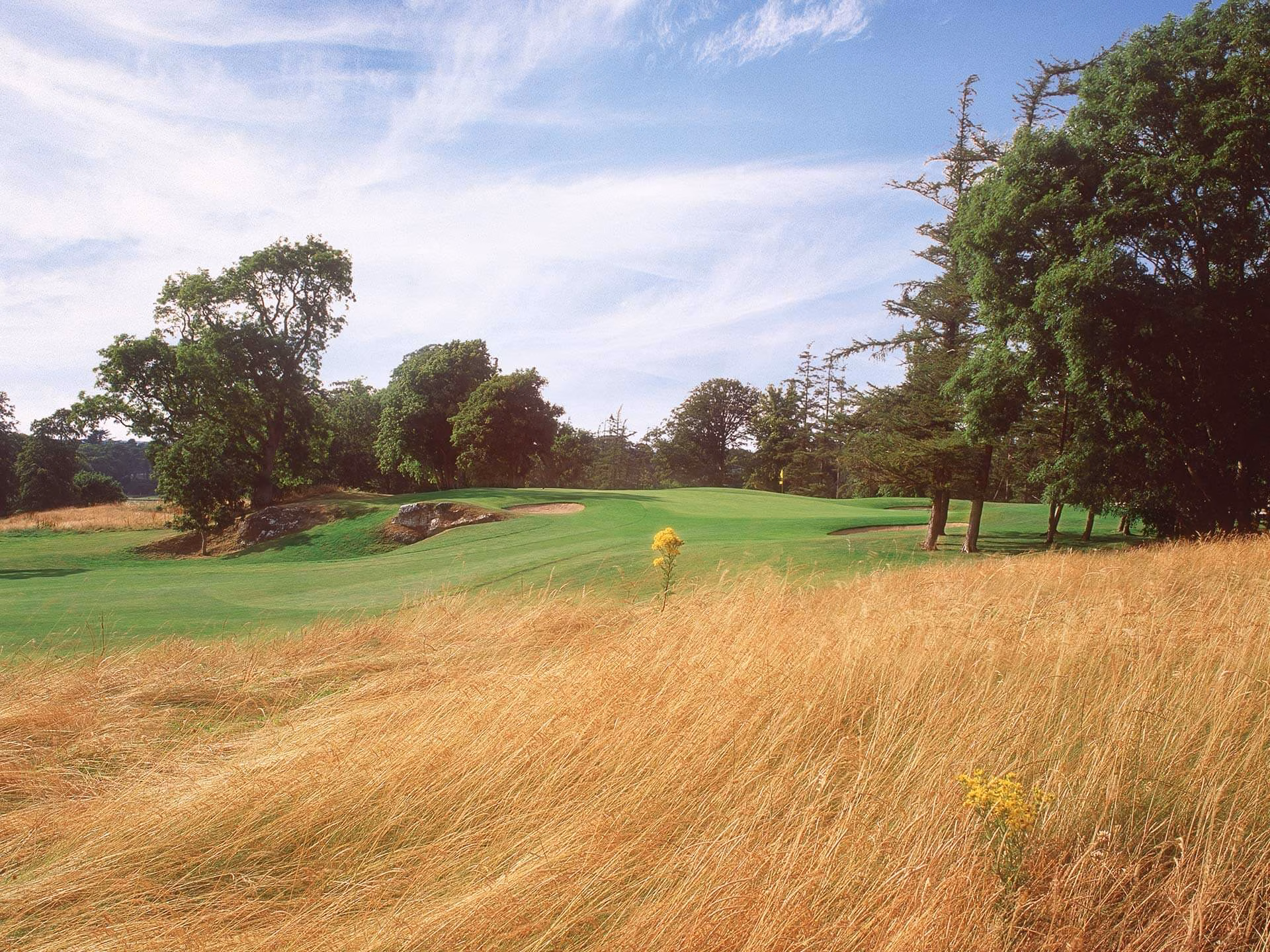 Carton House (Montgomerie Course)