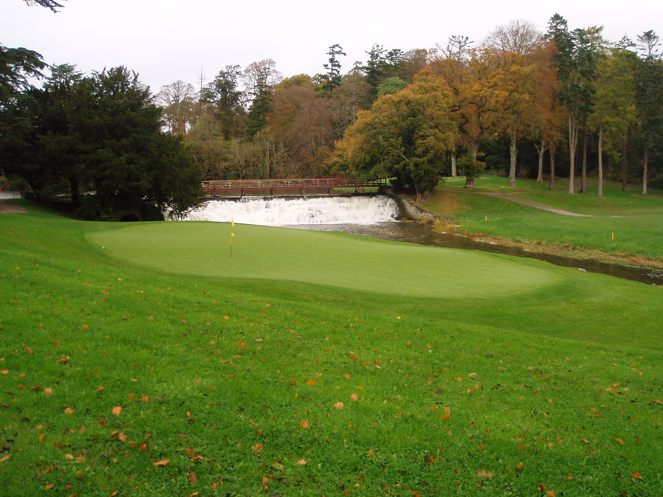 Carton House (O'Meara Course)