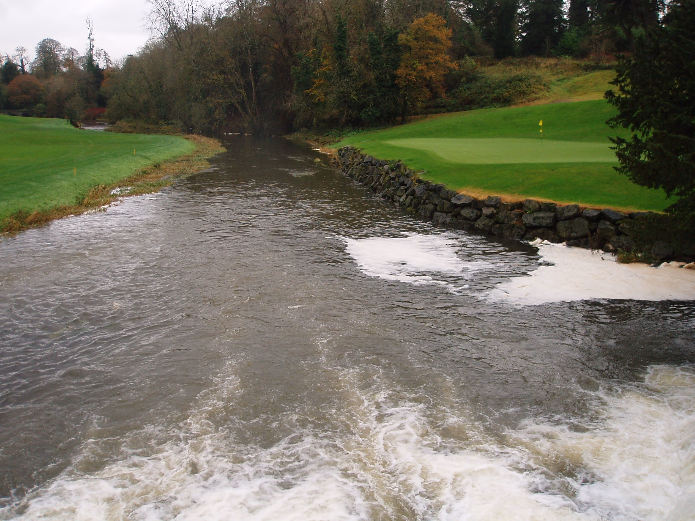 Carton House (O'Meara Course)