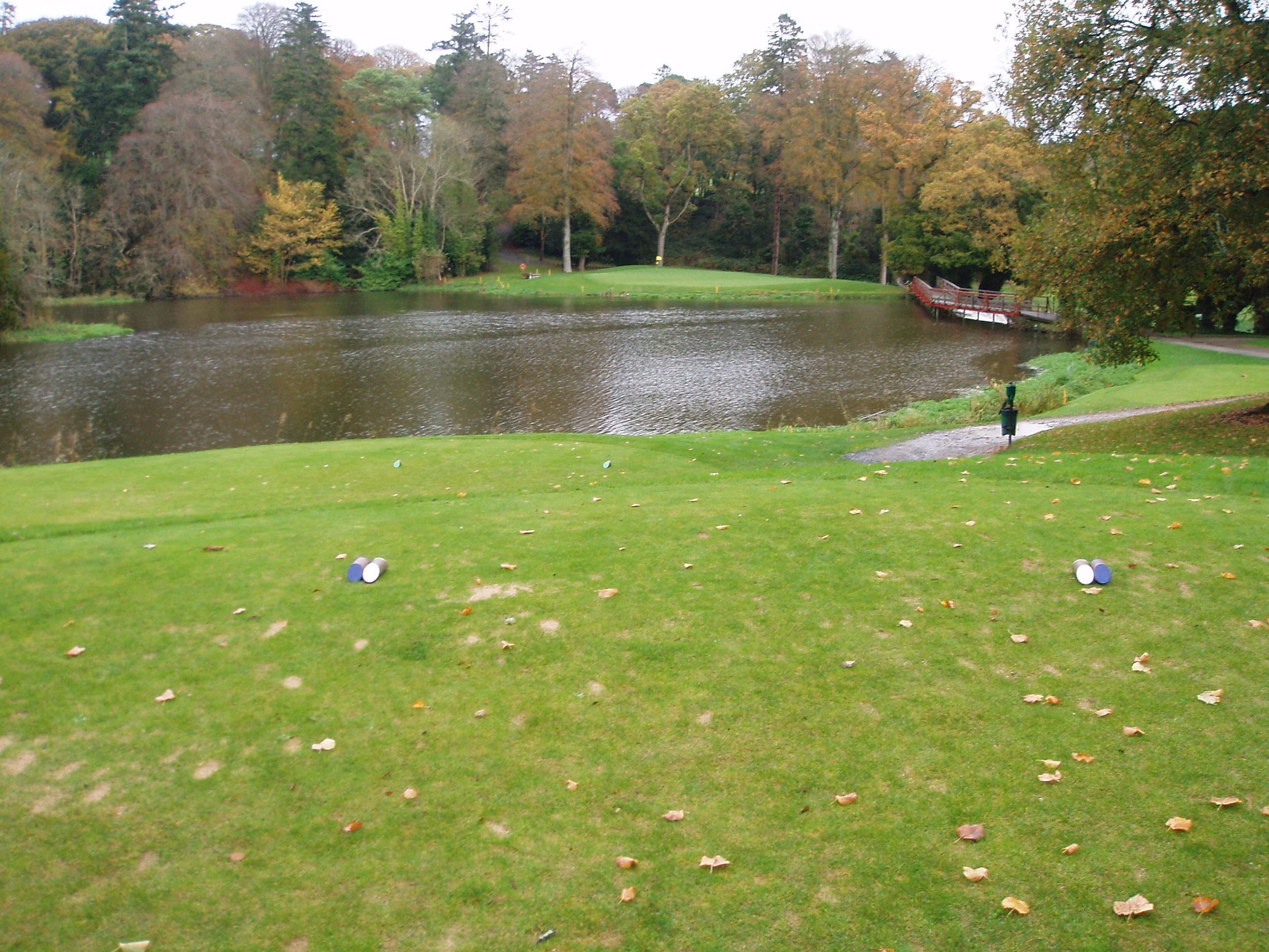 Carton House (O'Meara Course)