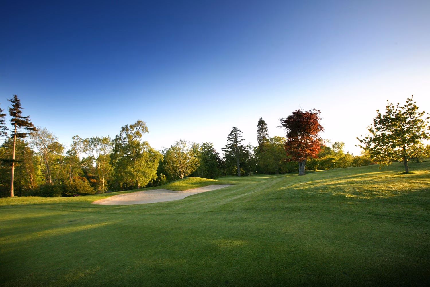Druids Glen Golf Resort (Druids Glen Course)