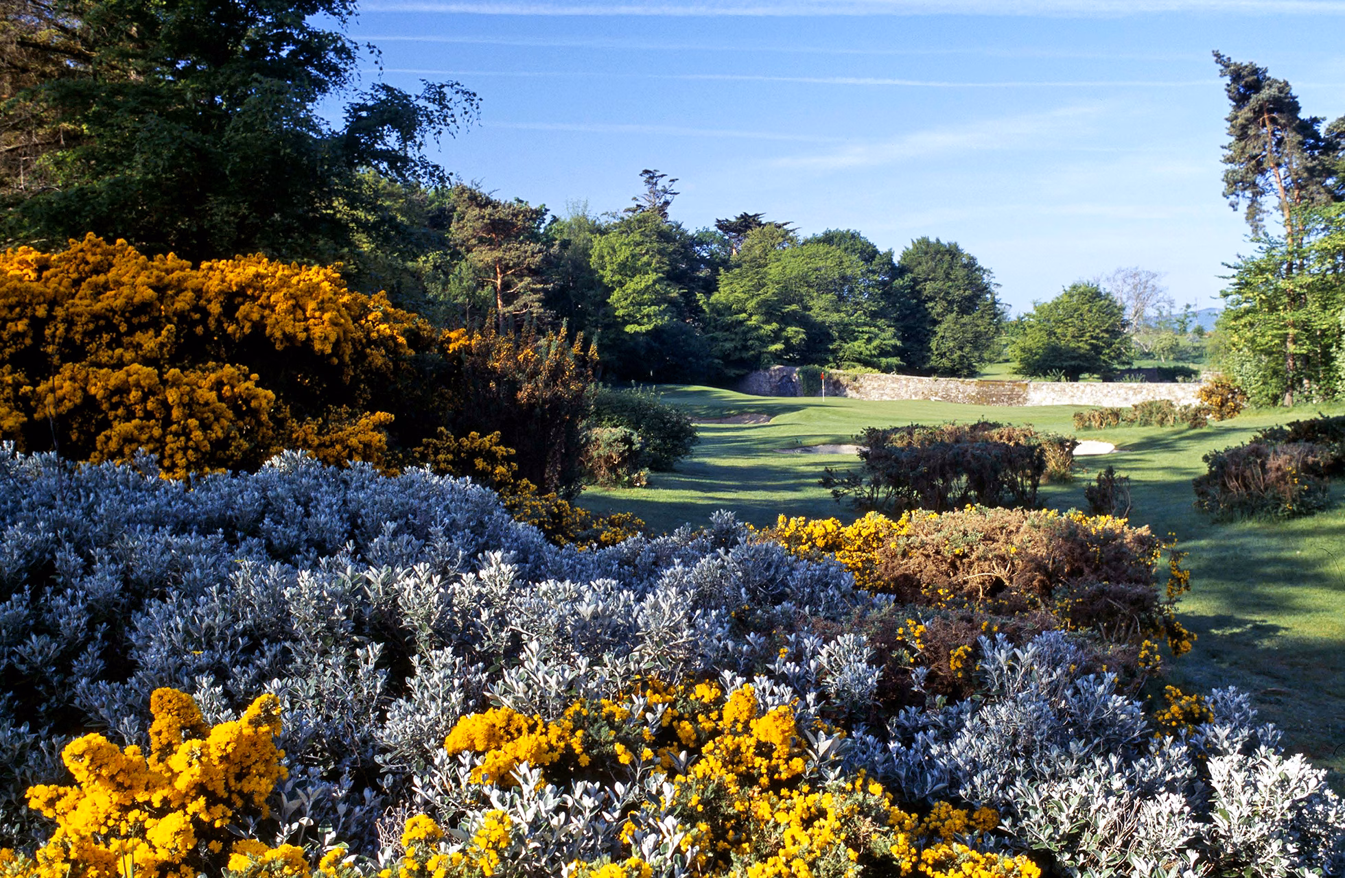 Druids Glen Golf Resort (Druids Glen Course)
