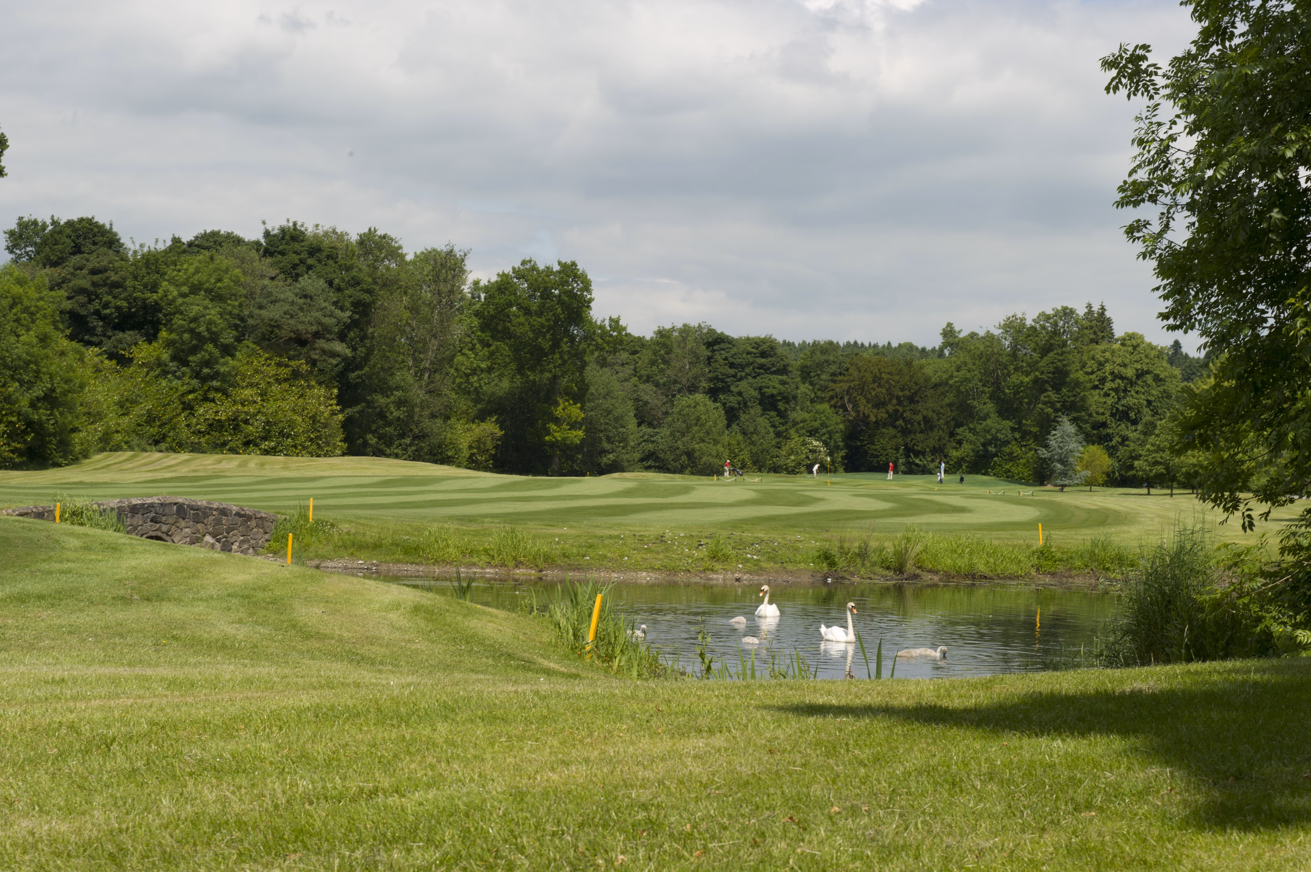 Headfort Golf Club (Championship Course)