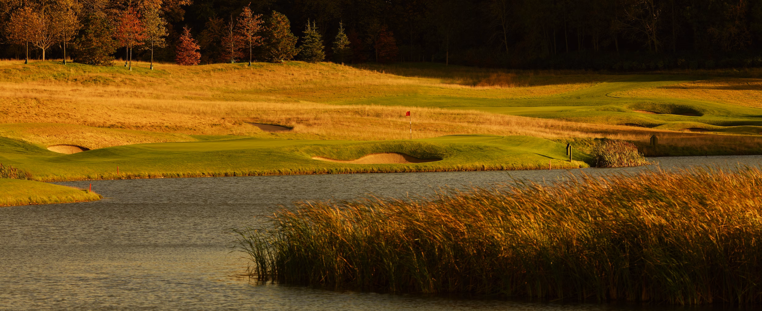 Killeen Castle Golf Course