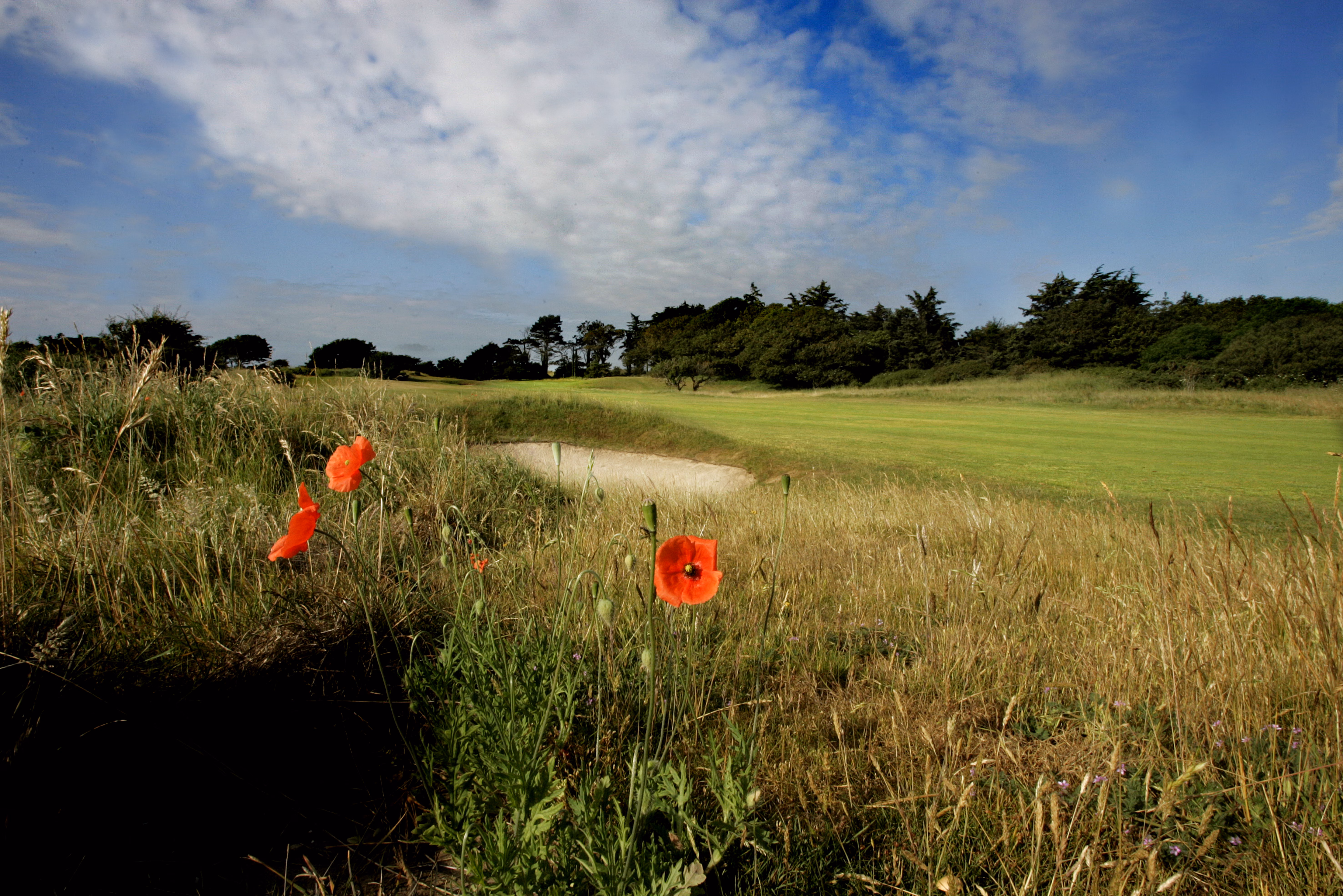 Seapoint Golf Links