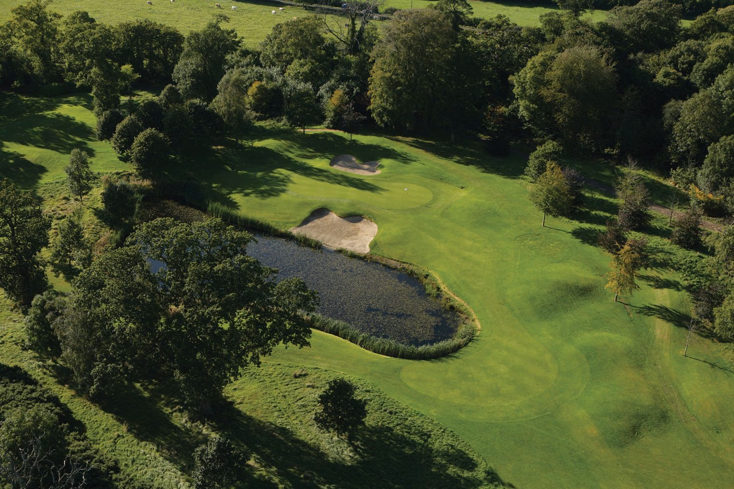 The K Club (Palmer North Course)