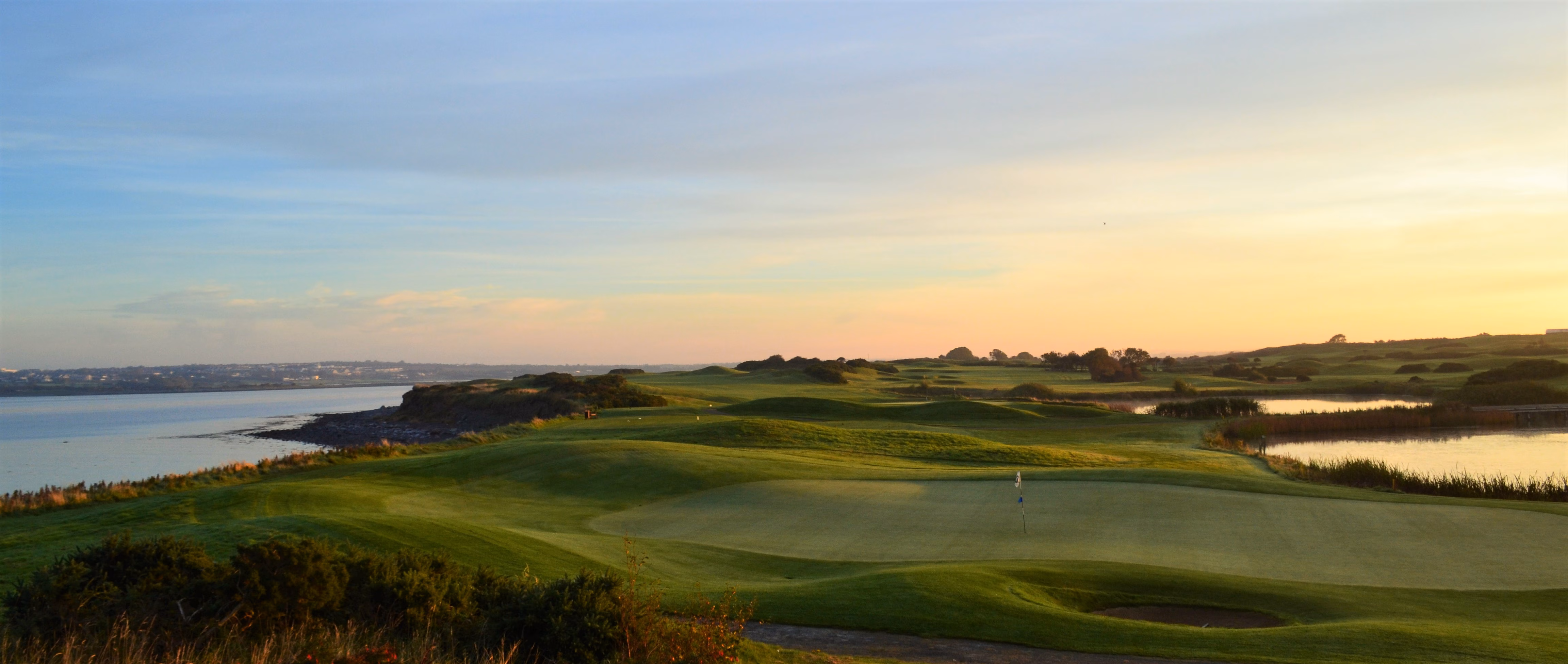 The Hawthorn by Galway Bay