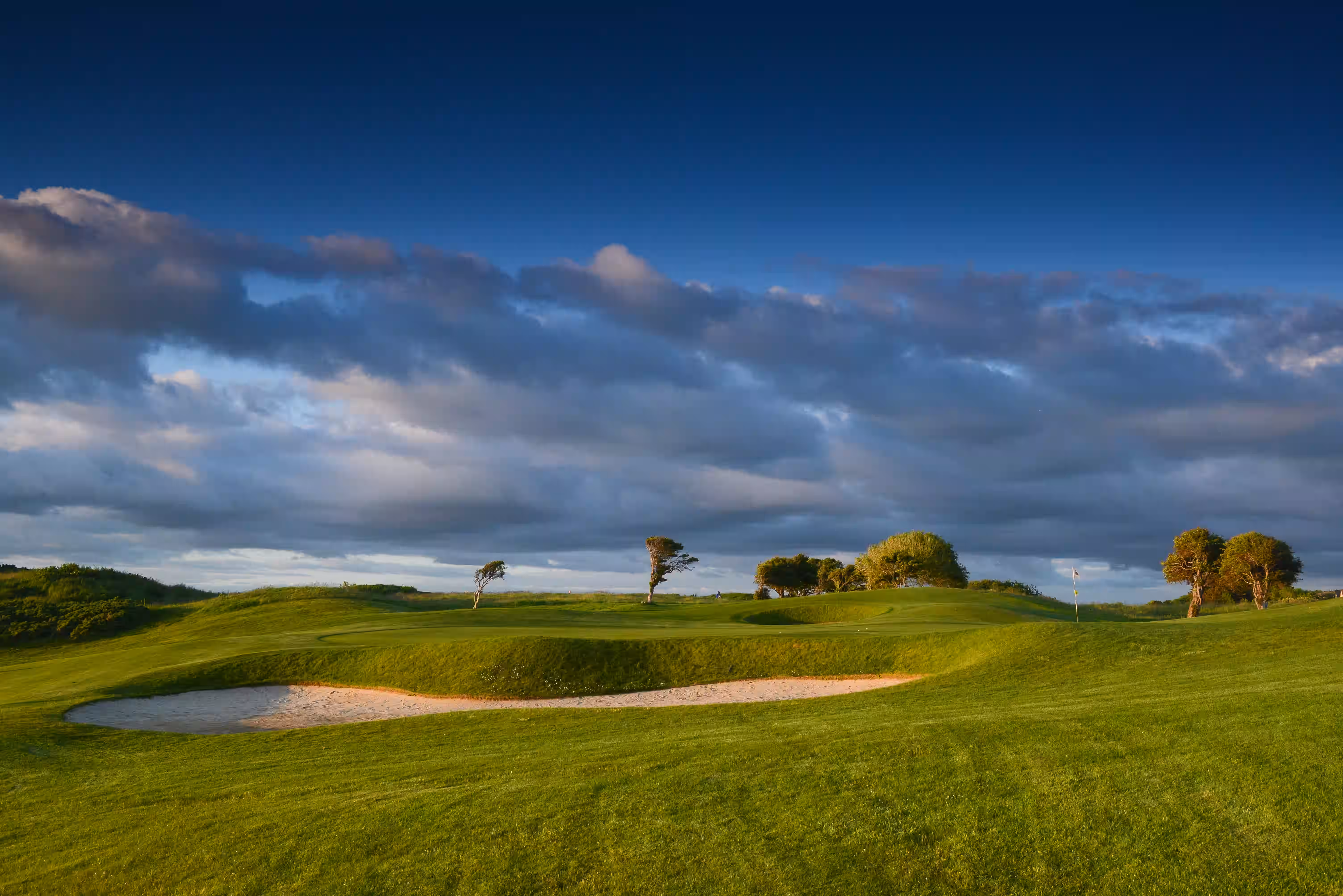 The Hawthorn by Galway Bay