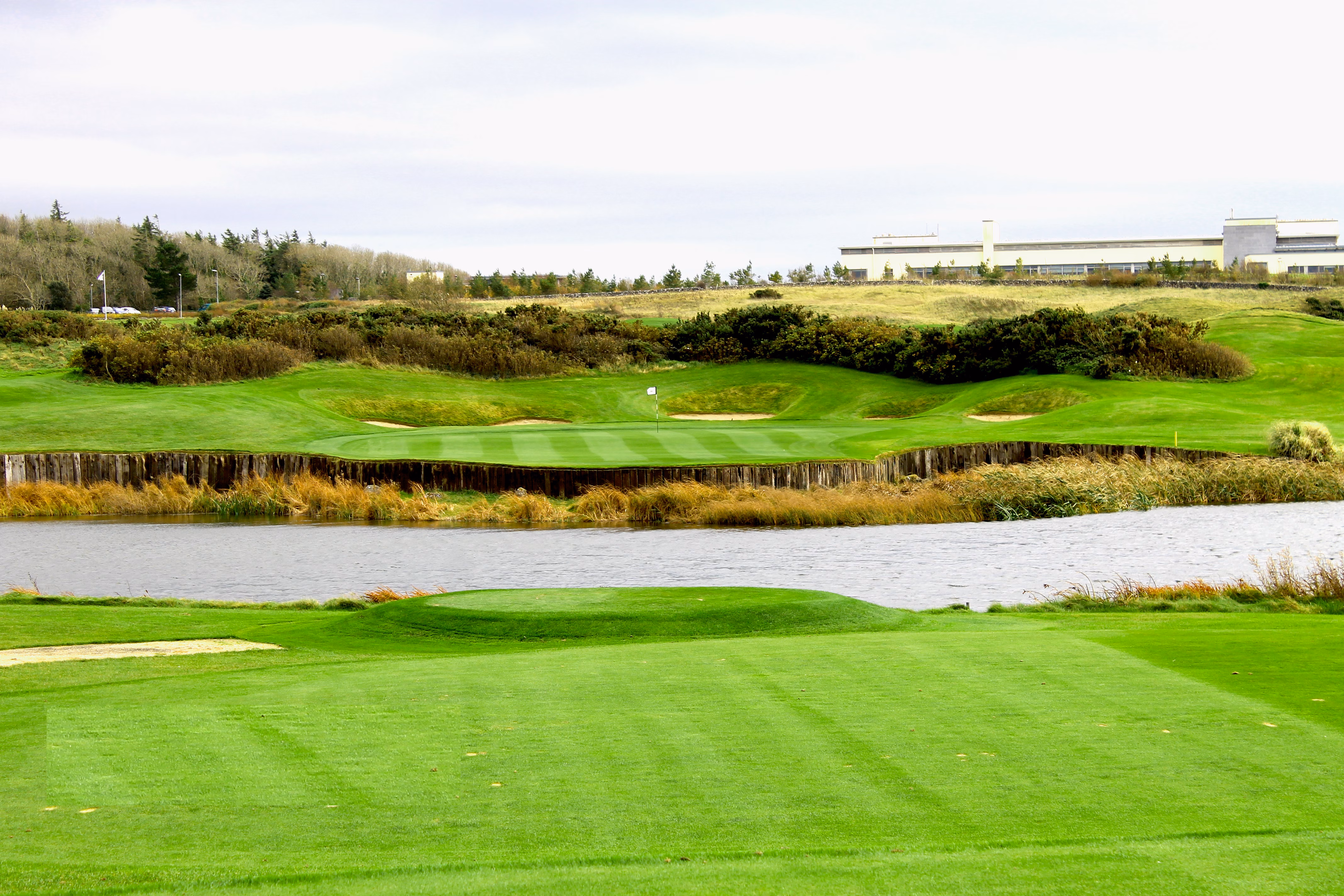 The Hawthorn by Galway Bay