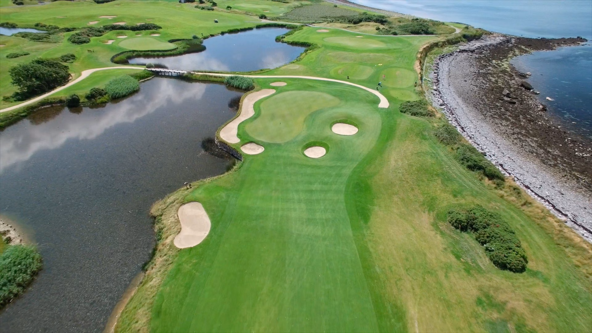 The Hawthorn by Galway Bay