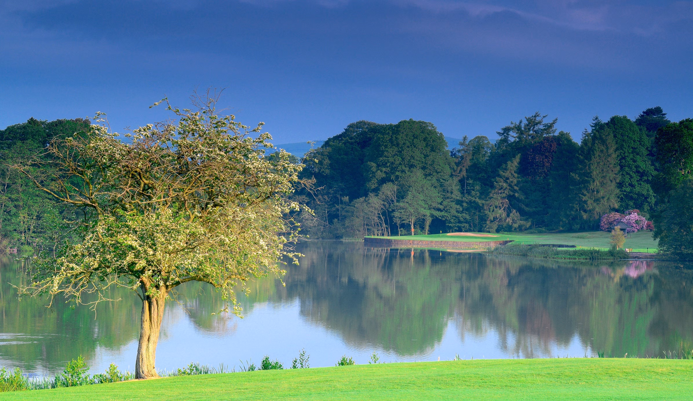 Malone Golf Club (Drumbridge & Ballydrain Nines)