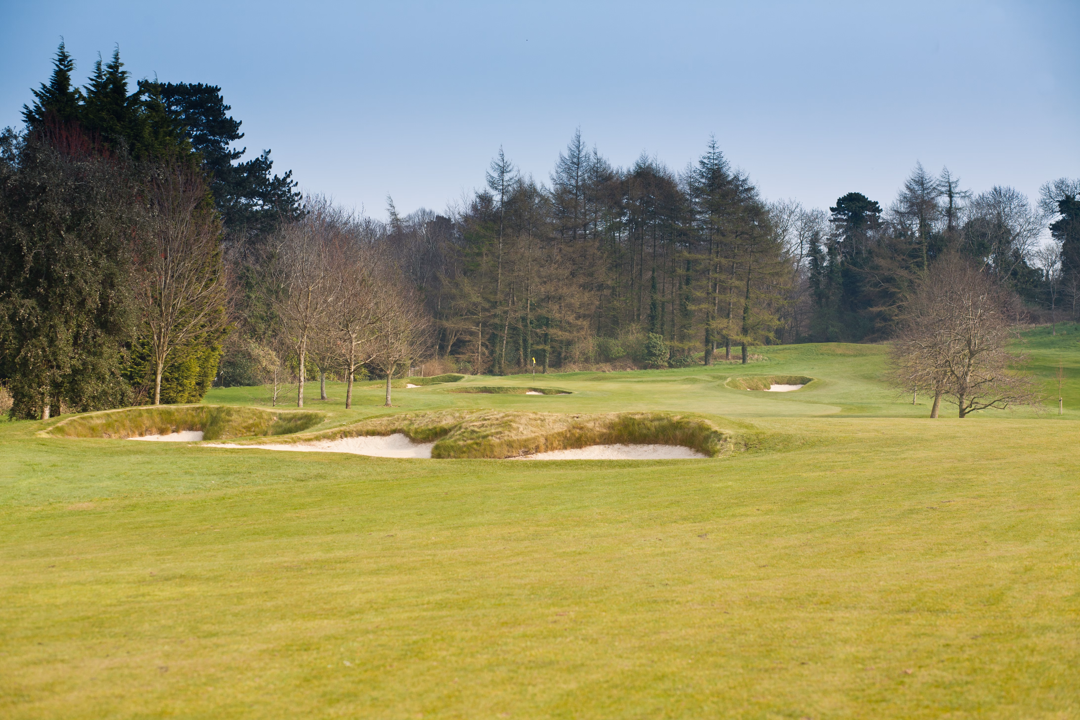 Royal Belfast Golf Club