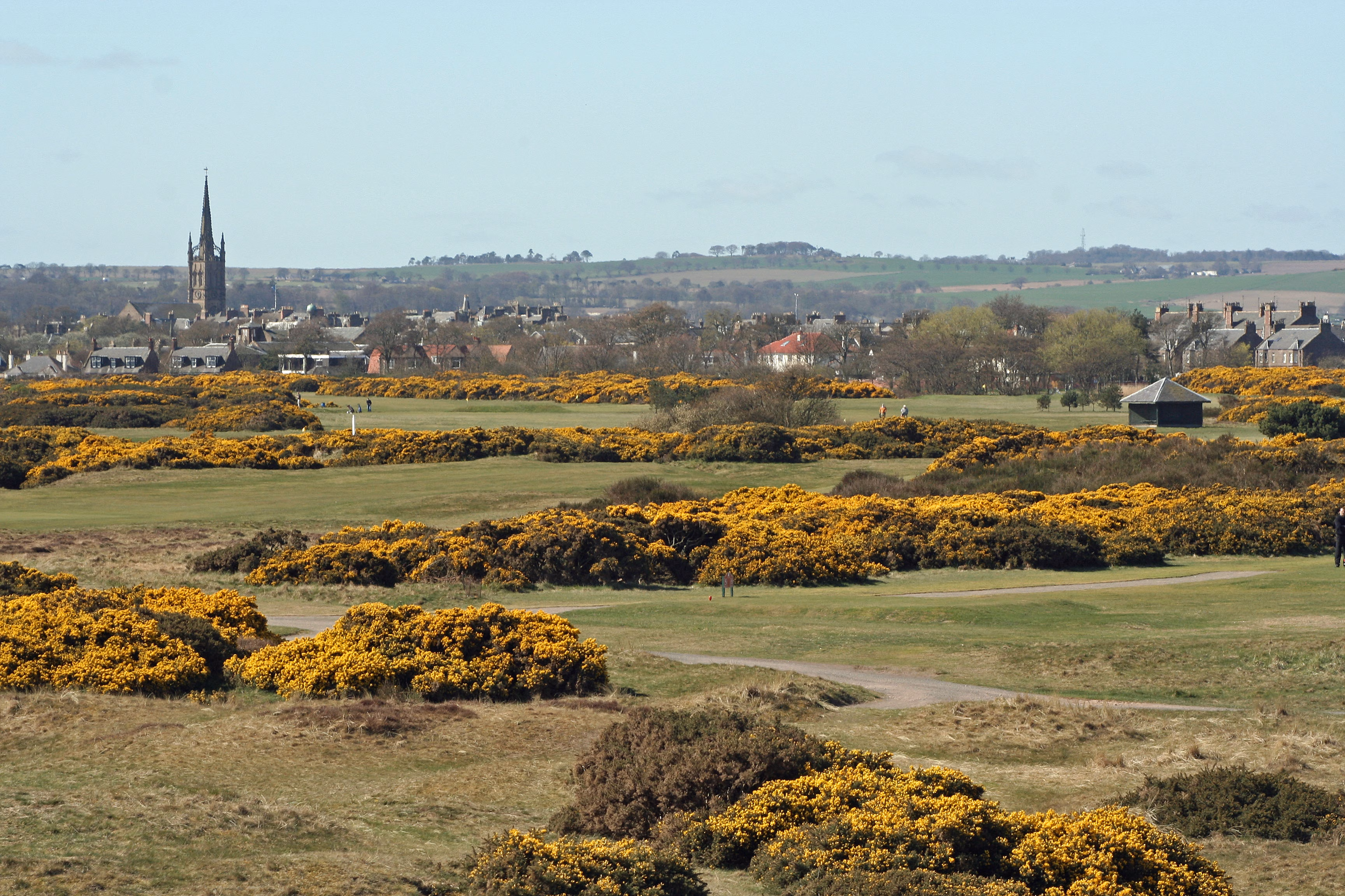 Montrose Golf Links (1562 Course)